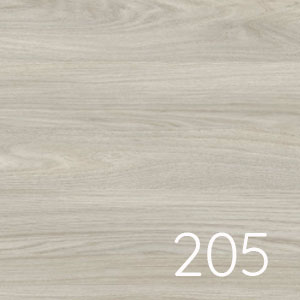 Ulme gekälkt waagerecht - PG1: Ulme gekälkt waagerecht - PG1