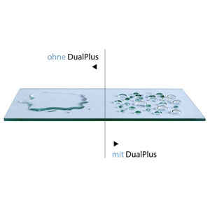 Dual Plus: Dual Plus