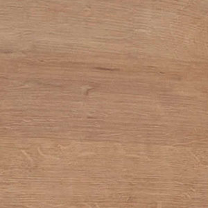 Berg Eiche: Berg Eiche