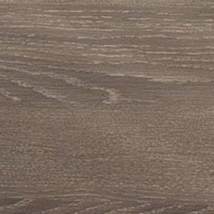 Eiche Maron: Eiche Maron