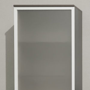 Alurahmenfront Alpinweiß mit Mattglas: Alurahmenfront Alpinweiß mit Mattglas