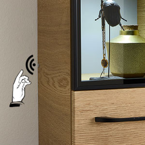 Sensorschalter zur LEDplus Steuerung: Sensorschalter zur LEDplus Steuerung