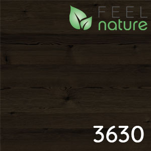 Boreas Pinie quer Nachbildung: Boreas Pinie quer Nachbildung