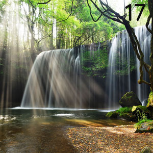 Wasserfall im Urwald: Wasserfall im Urwald