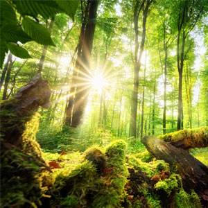 Motiv - Farbig: Motiv - Farbig