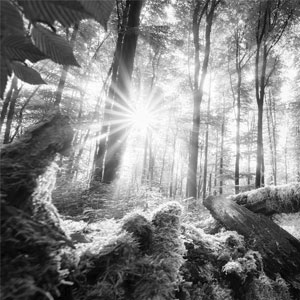 Motiv - Schwarz-Weiss: Motiv - Schwarz-Weiss