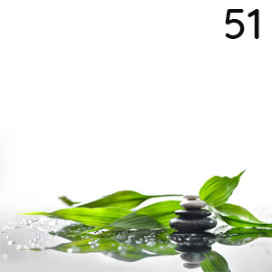 Zen-Blätter: Zen-Blätter