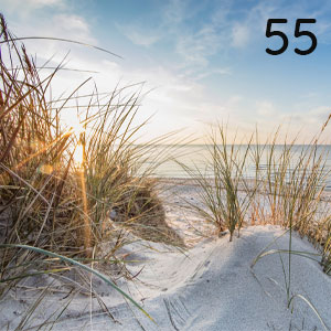 Düne mit Küstengras: Düne mit Küstengras