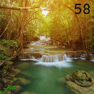 Kaskaden im Regenwald: Kaskaden im Regenwald