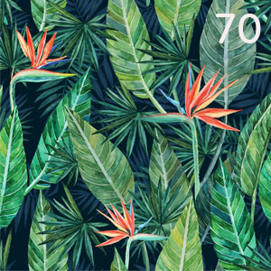 Tropenblätter Strelizia Mix: Tropenblätter Strelizia Mix